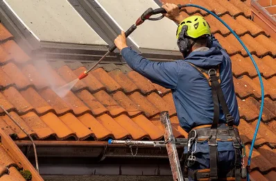 Démoussage et hydrofuge de toiture à Vregny
